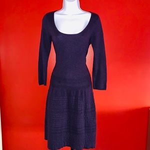 Max Studio Purple Sweater Dress